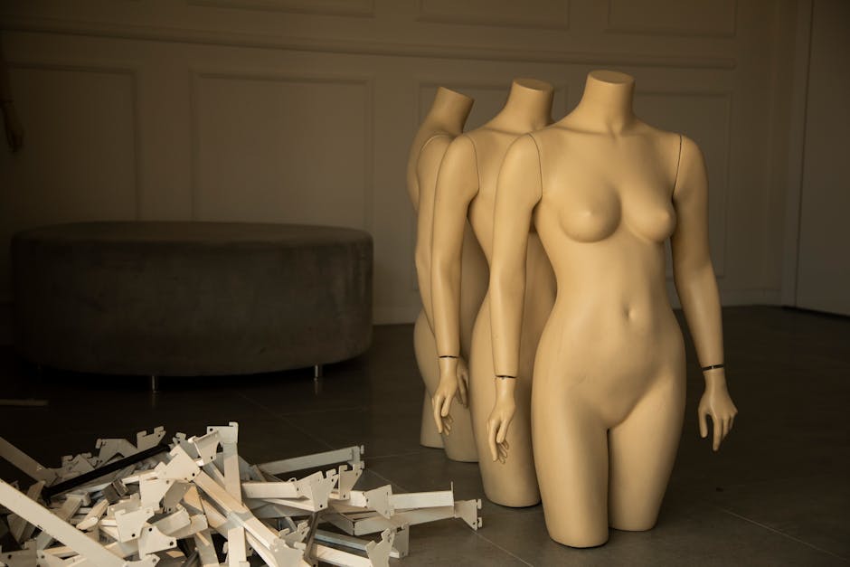 A minimalist display showcases